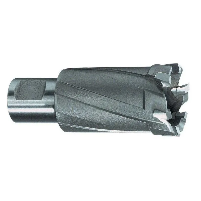 Kernbohrer mit Hartmetallschneiden und Weldonschaft (3/4 Zoll) Durchmesser 20 mm von Ruko – Produktbild