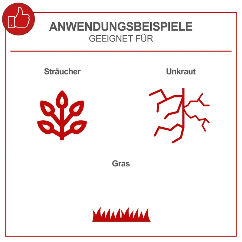 Benzin-Freischneider PBC310-4S Scheppach - 0,7 kW | 1,0 PS 4-Takt-Benzinmotor | Seilzugstarter | Motorsense & Rasentrimmer de Scheppach – image du produit 4 sur 5