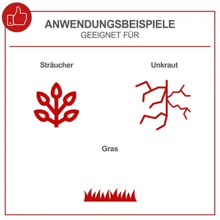 Benzine Bosmaaier PBC330 - 2-takt van Scheppach – productafbeelding 4 van 5