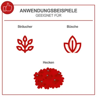 Benzine heggenschaar HTH250/240P - 25.4cc - 0.7 kW/1.0 HP - snoeilengte 600mm - max snijdiameter 27mm - 0.6L tankvolume van Scheppach – productafbeelding 2 van 5