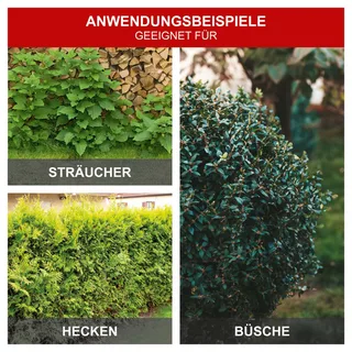 EHT610 Elektrische heggenschaar - 600W - 1500rpm - snoeilengte 610mm - snijdikte tot 24mm de Scheppach – image du produit 2 sur 5