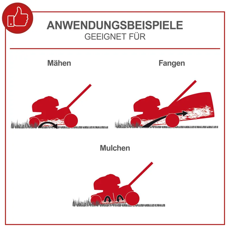 Grasmaaier Benzine MS225-56 - Zelfrijdend - Mulchfunctie - 56cm maaibreedte - 4-takt - 224cc - 6pk - Voor tuinen tot 2200m² - met 65L opvangbak by Scheppach – product image 4 of 5