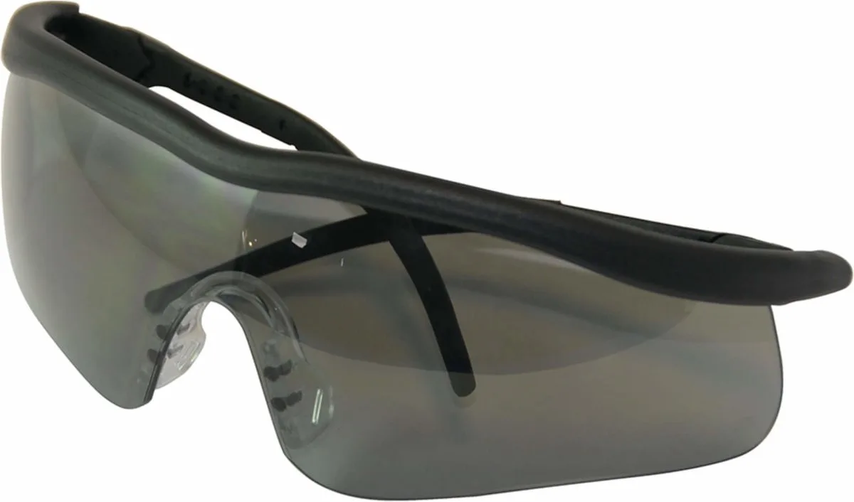 Veiligheidsbril - getinte lens - krasbestendig - panoramisch zicht - lichtgewicht - verstelbare poten de Silverline, Gris – image du produit