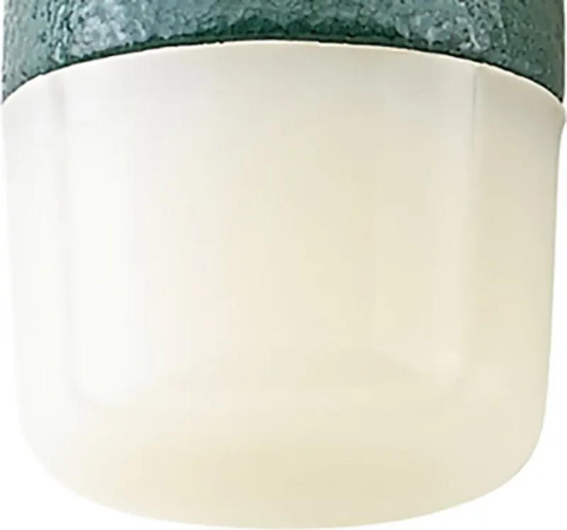Stahlwille 10956R 40 ERSATZ-NYLONKOPF ZU HAMMER NO. 10956 79050040 Tête de rechange 31 g 1 pc(s) de Stahlwille – image du produit