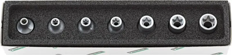 Stahlwille 45TX/7 Steckschlüsselsatz 3/8 (10 mm) 96022702 de Stahlwille – image du produit 1 sur 2