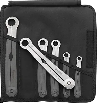 Stahlwille 96411006 240/6 Ratschen-Einringschlüssel-Satz 6teilig Schlüsselweite (Metrisch) 8 - 19 mm von Stahlwille – Produktbild 1 von 2