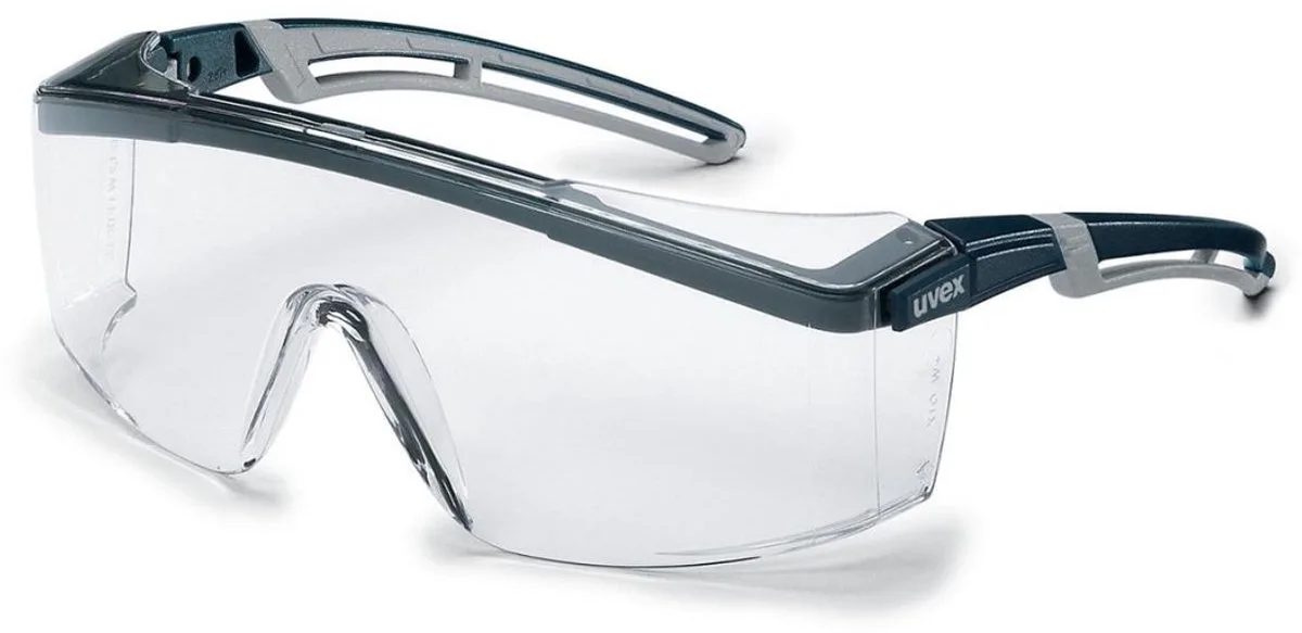 President Safety B.V. de Uvex, Gris, Noir – image du produit