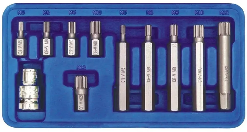 Spline Bit Set - M5-M12 - 11-delig - Staal Chrome-Vanadium by Vorel – product image