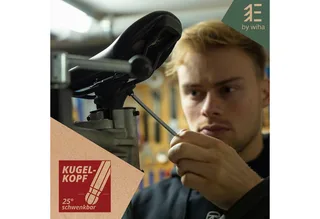 Stiftschlüssel Essential (46446) - 14 tlg., mit Kugelkopf, Innensechskant Satz 1,27-10mm für Zuhause & Profi de Wiha, Noir – image du produit 5 sur 5