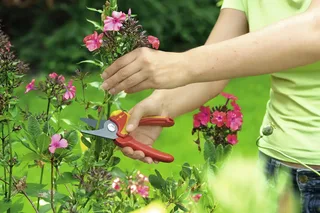 Snoeischaar - RR1500 von WOLF-Garten – Produktbild 2 von 3