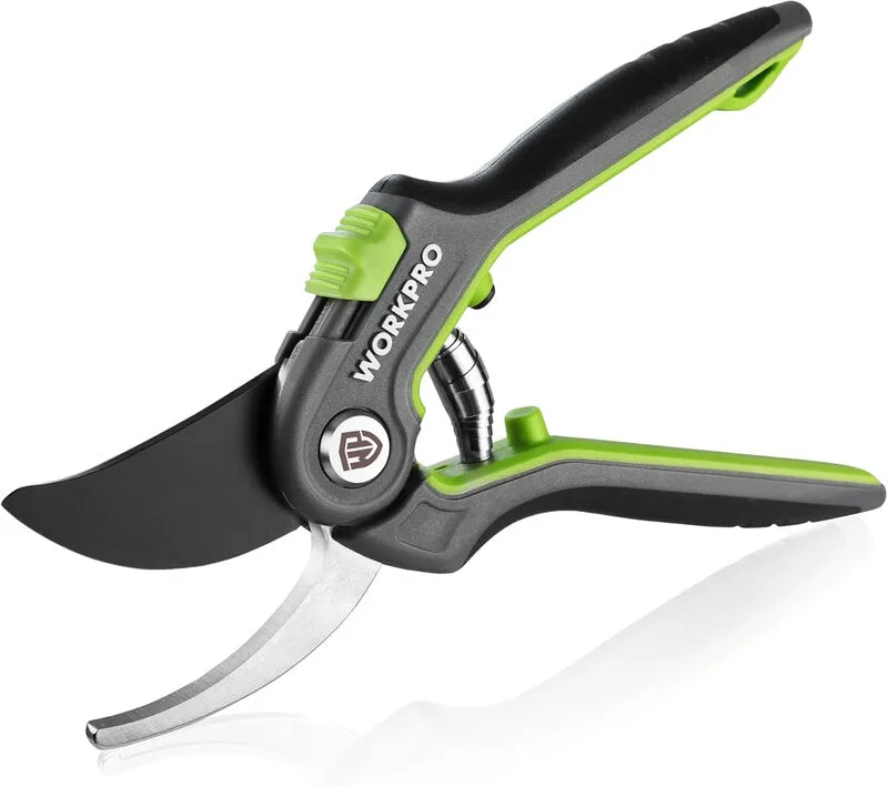 Bypass-Snoeischaar 210 mm, Professionele snoeischaar met SK5-blad voor verse takken, Ideaal tuinwerktuig voor enten, snoeien, oogsten, Plantenschaar, Snoeischaar voor tuinieren de Workpro – image du produit