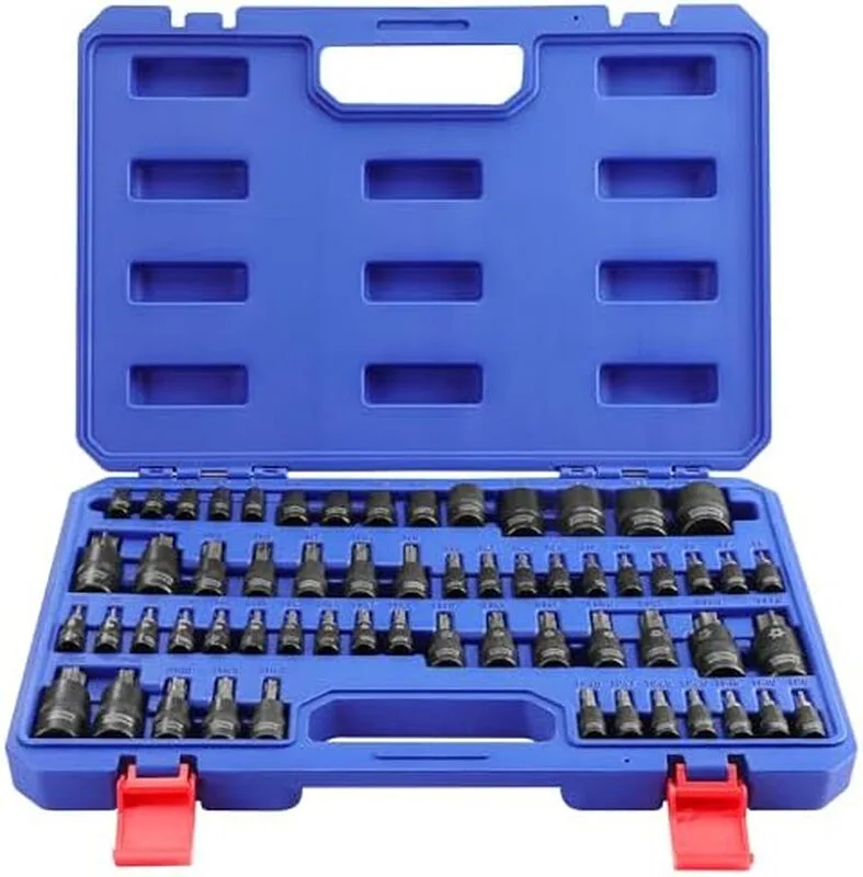 WORKPRO 60-delig Master Torx bits- en socketset, 1/4", 3/8", 1/2" drive-bits, E4-E24, T6-T70, TT6-TT70, TP8-TP60, met opbergkoffer met verbeterde opbergfunctie de Workpro – image du produit