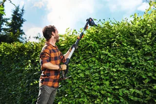 Akku-Heckenschere 20V WG252E.9, Teleskopstiel 3,6m, 45cm, bis 3,6 m Arbeitshöhe, Mit längenverstellbaren Teleskopstiel für hohe Reichweite bis 3.6m van Worx, Zwart – productafbeelding 2 van 4