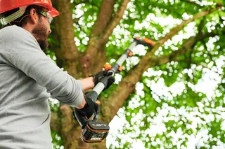 Akku-Hochentaster 20V Akku Hochentaster, 20cm, Teleskopgriff max. 3,6m, (Set, Gartenscheren-Maschinen), inklusive 20V/2Ah Akku und Ladegerät van Worx, Zwart – productafbeelding 2 van 5