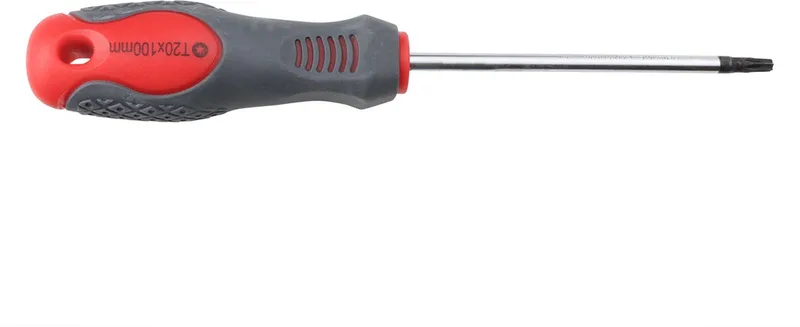 Torx Schroevendraaier TX20 x 100 mm | Per Stuk by Wovar, Black – product image