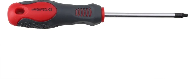 Torx Schroevendraaier TX25 x 100 mm | Per Stuk by Wovar, Grey – product image