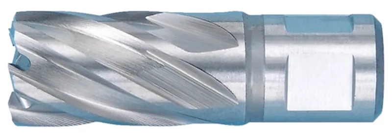 HSS kernboor - HSS kernboor x 1 st Lengte 64.2 mm de Würth – image du produit